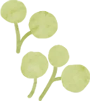 【品质教育】研思赋能中考路,聚力同行启新程——玉环市九年级语文教学质量分析暨教学研讨活动 第15张