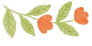 【品质教育】研思赋能中考路,聚力同行启新程——玉环市九年级语文教学质量分析暨教学研讨活动 第22张