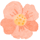 【品质教育】研思赋能中考路,聚力同行启新程——玉环市九年级语文教学质量分析暨教学研讨活动 第23张