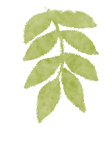 【品质教育】研思赋能中考路,聚力同行启新程——玉环市九年级语文教学质量分析暨教学研讨活动 第50张