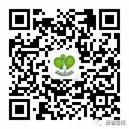 2026 中考作文预测:黄金暴涨暴跌的高分立意与范文... 第20张