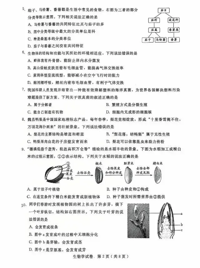 2026年4月邢台市生地一模真题试卷及答案 第2张