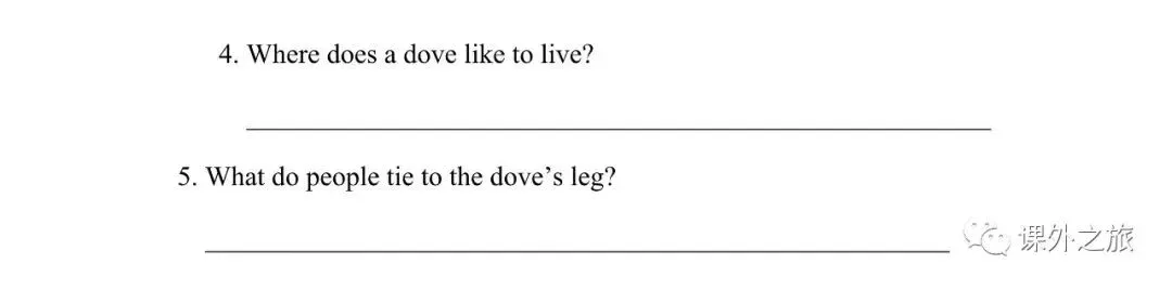 【小升初】英语名校招生真题卷(一)含听力+答案+课件(可下载打印) 第9张
