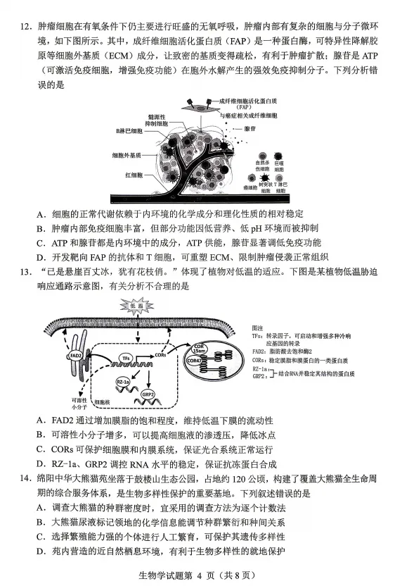 最新!2026年绵阳高三三诊各科试卷及答案出炉 第70张