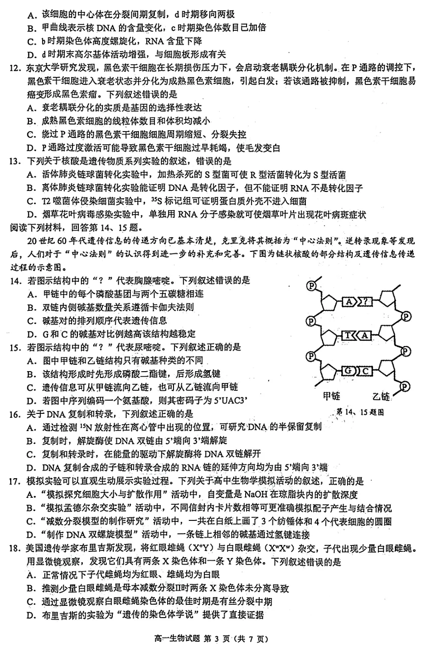 2026年4月北斗联盟高一期中考试生物试卷、答案 第3张