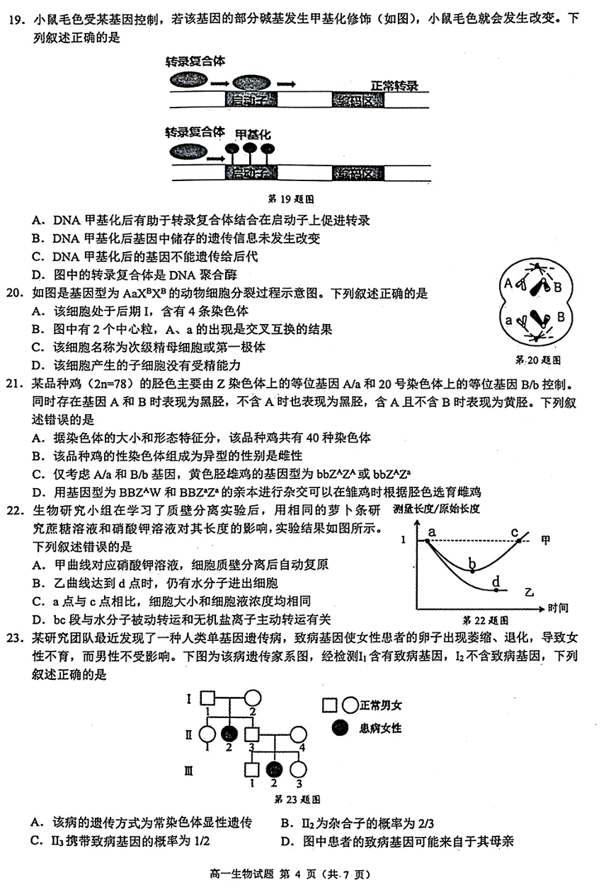 2026年4月北斗联盟高一期中考试生物试卷、答案 第4张