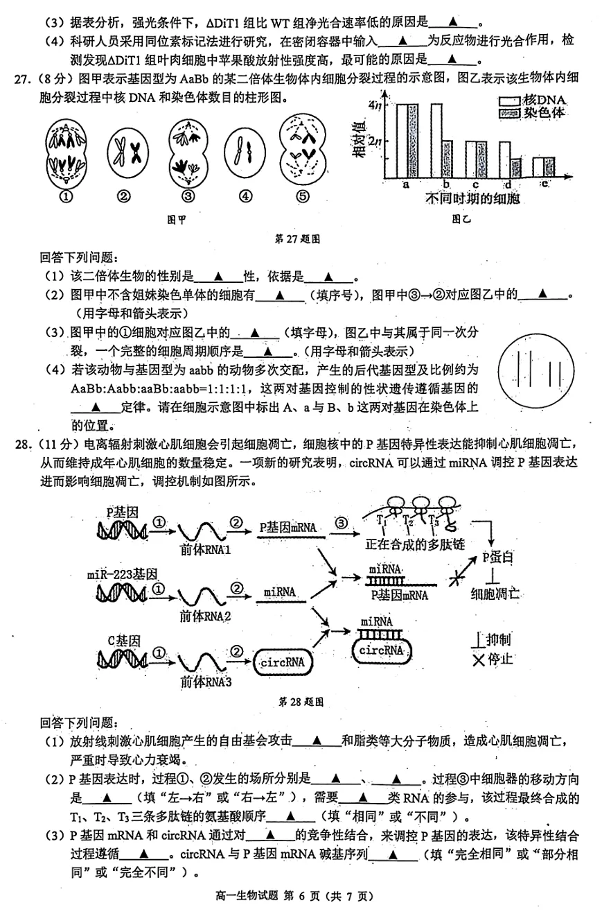 2026年4月北斗联盟高一期中考试生物试卷、答案 第6张