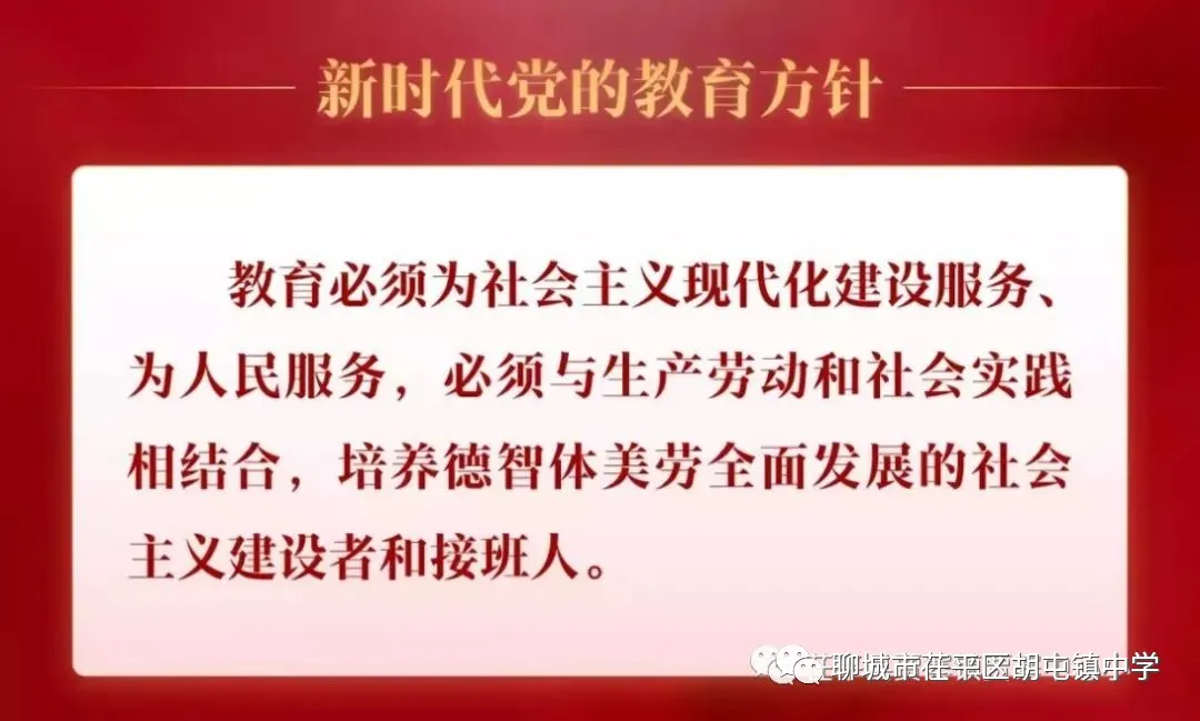 聚焦新课标 对标新中考 携手共研促提升——胡屯镇中学成功承办区联盟教研活动 第21张