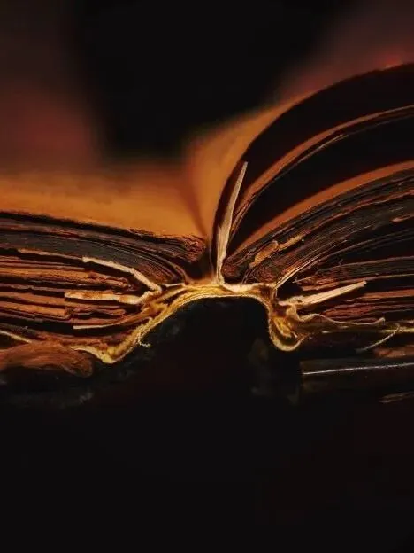 四月书香|致正在冲刺中考的你 第29张