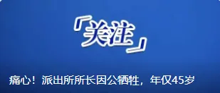 沈阳家长省心啦!双胞胎中考“捆绑”排考场,申请流程刚刚公布,赶紧看! 第3张