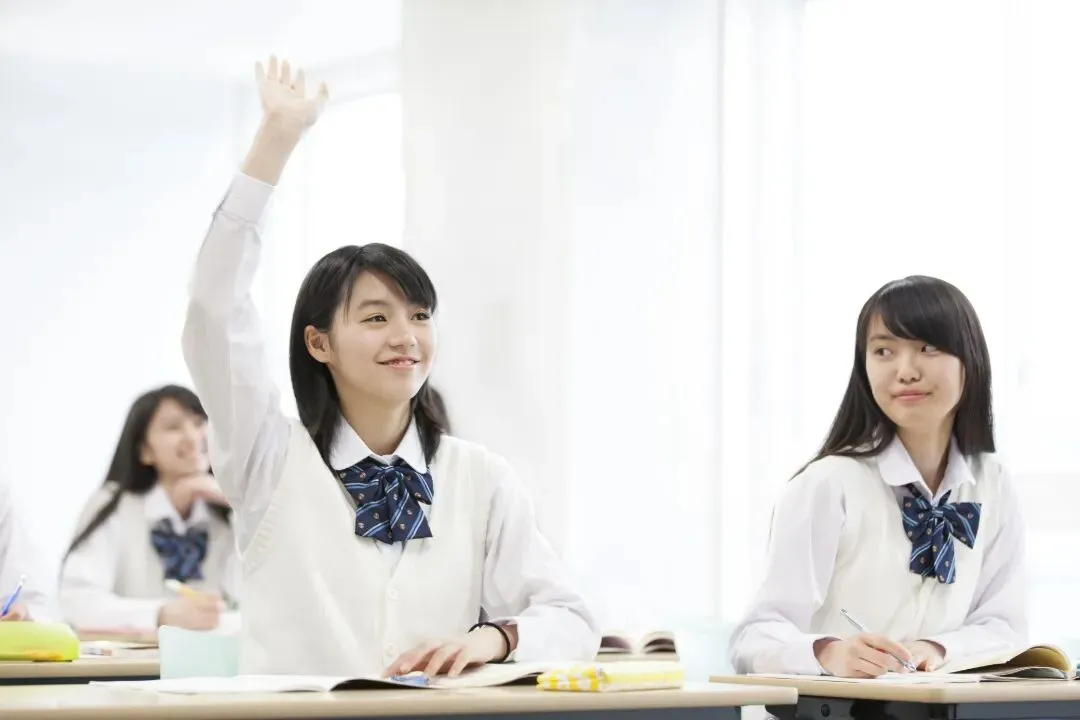 中考后分流太焦虑?新加坡 O 水准,一条双向可选的升学快车道 第5张