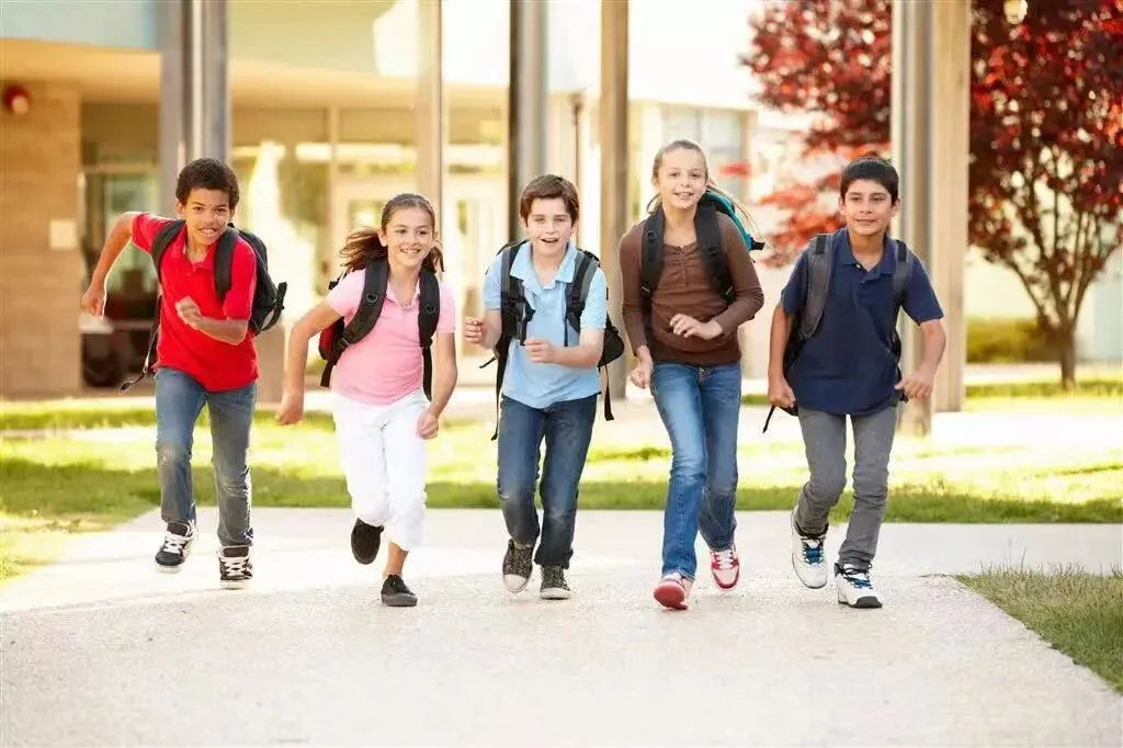 中考后分流太焦虑?新加坡 O 水准,一条双向可选的升学快车道 第7张