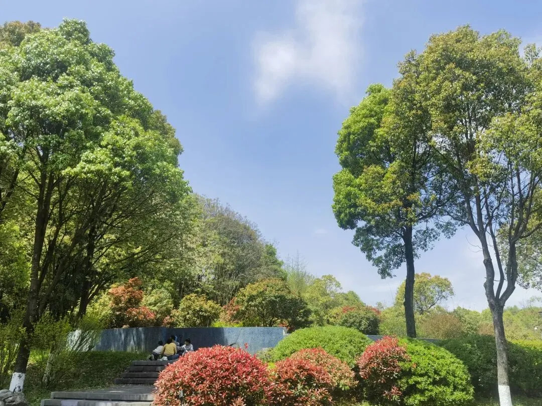 真题解析:居民反对,要高额赔偿,你怎么办?(附逐字稿) 第1张