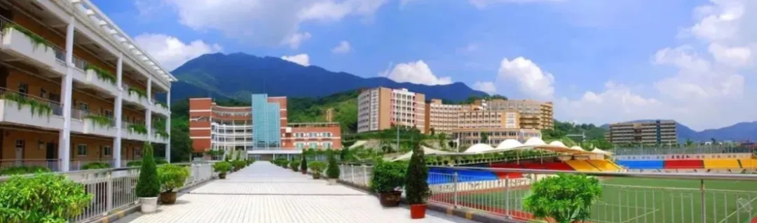 真题聚焦!高效备考!深外国际书院校情考情重磅汇总 第4张