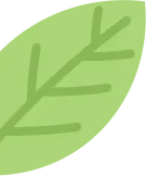 [总第28期]聚焦中考英语改革前沿,探索素养导向新路径 第13张