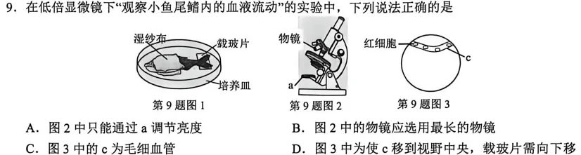 2026科学一模与中考生化会考什么?(一) 第5张