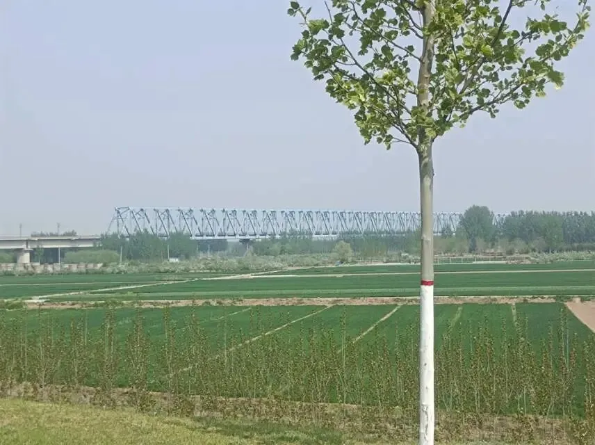 26山东真题:有群众打12345热线投诉你们不作为,实际是群众因为审批材料不全,没获批准.收到投诉后领导让你去处理,你会如何处理? 第4张