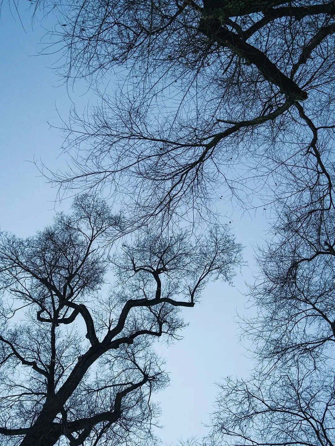 云南大学真题解析 | 平台型媒体名词解释(2026) 第6张