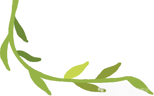 中考满分作文:10篇不同主题作文(含题目+解析),背下来,总有一篇让你受益非浅! 第3张