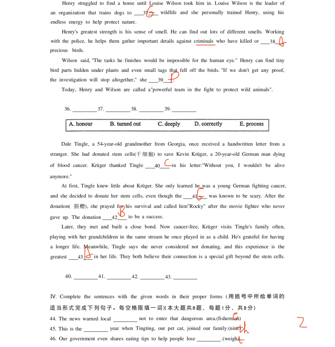 2026上海闵行英语中考二模答案+点评|首字母是你想象不到的难度 第6张