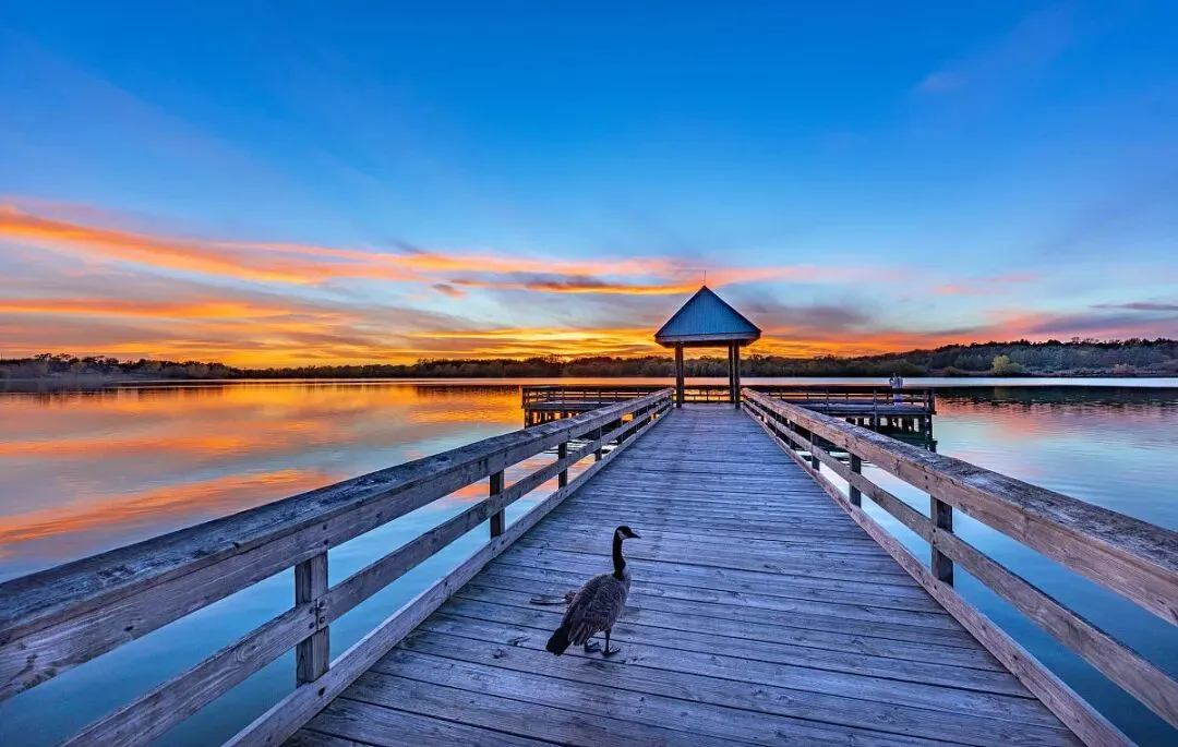 【中考阅读指导】关于桥的主题学习(综合性学习)贵州2025 第8张