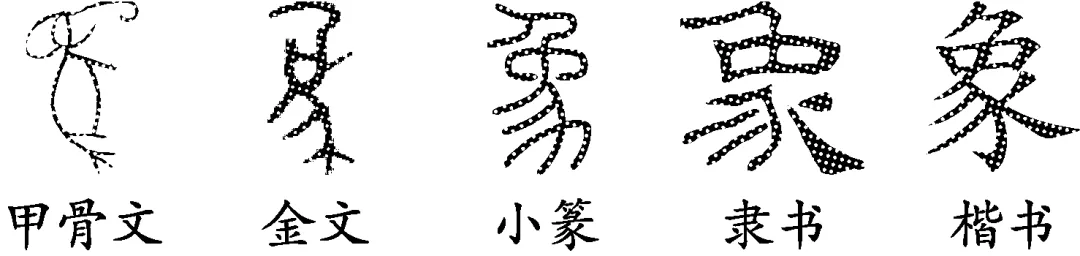 八下 期中学情评估试卷(原题卷) 第5张