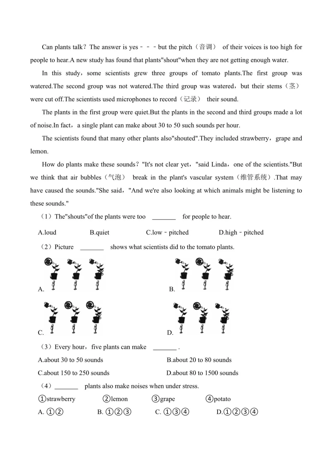 2026年上海小升初英语真题汇编满分冲刺(附解析) 第12张