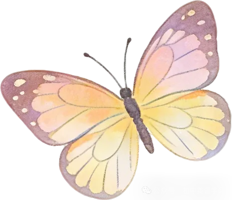 2026年中考英语作文预测专题七:校园生活与学习主题语料库+万能句型+3种题材写作框架 第2张