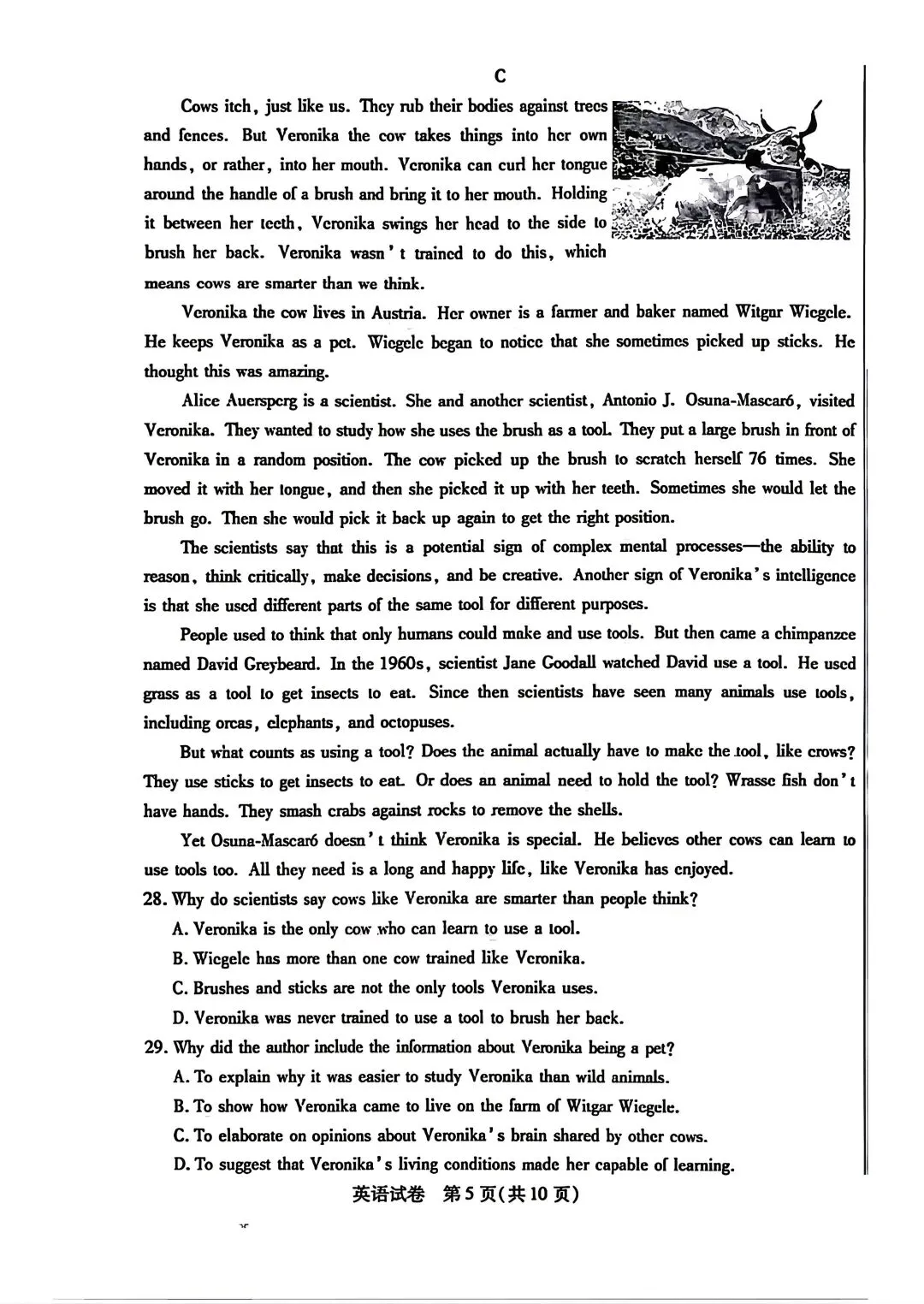 2026年包头高三二模英语试卷及答案 第5张