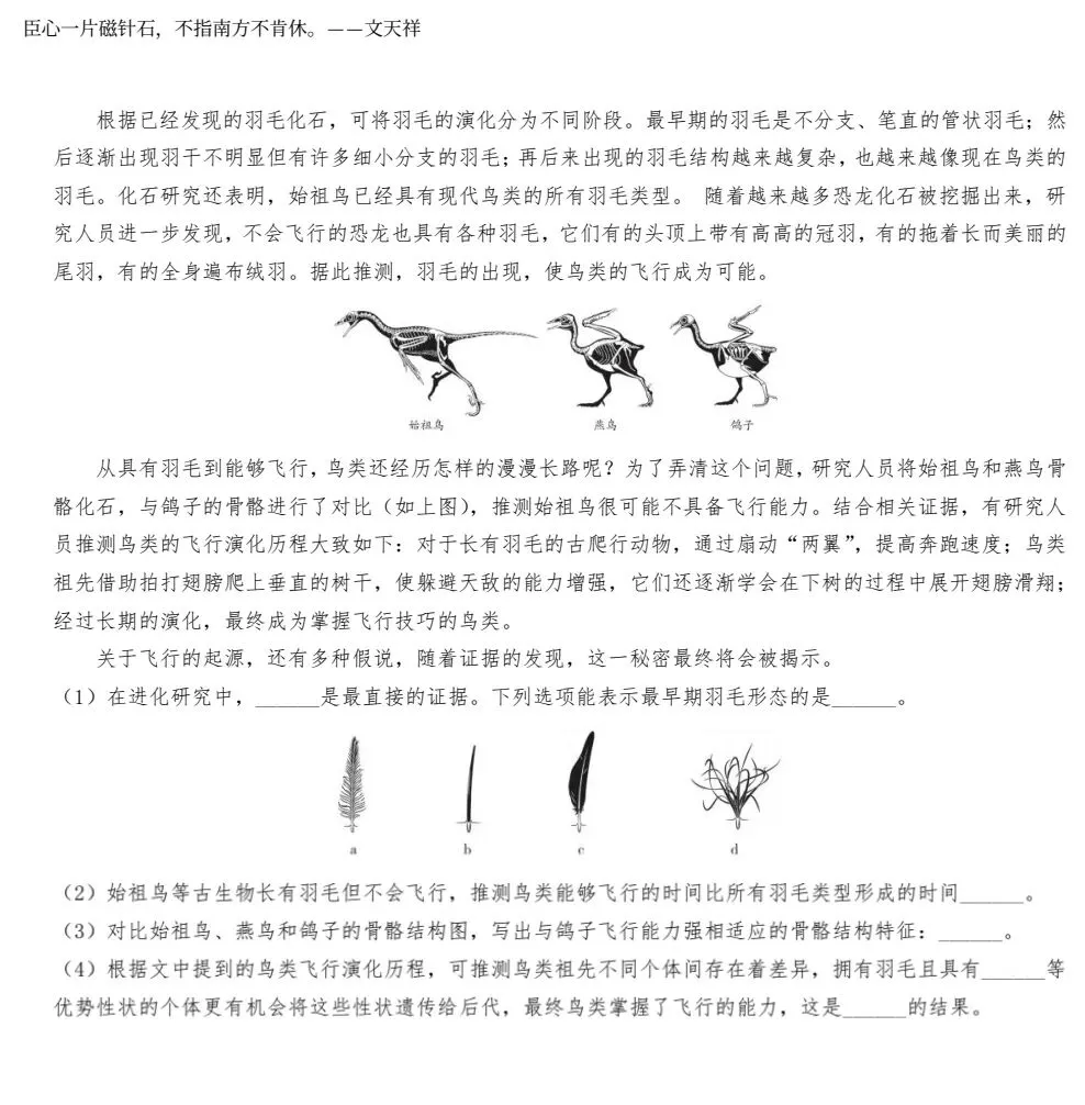 2025-2026北京海淀区生物中考模拟试卷+参考答案 有word文档 第9张