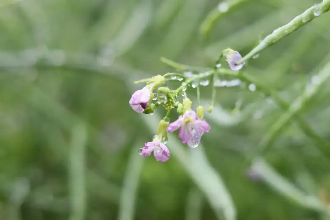 中考倒计时54天:最开心的,是看见孩子悄悄进步 第1张