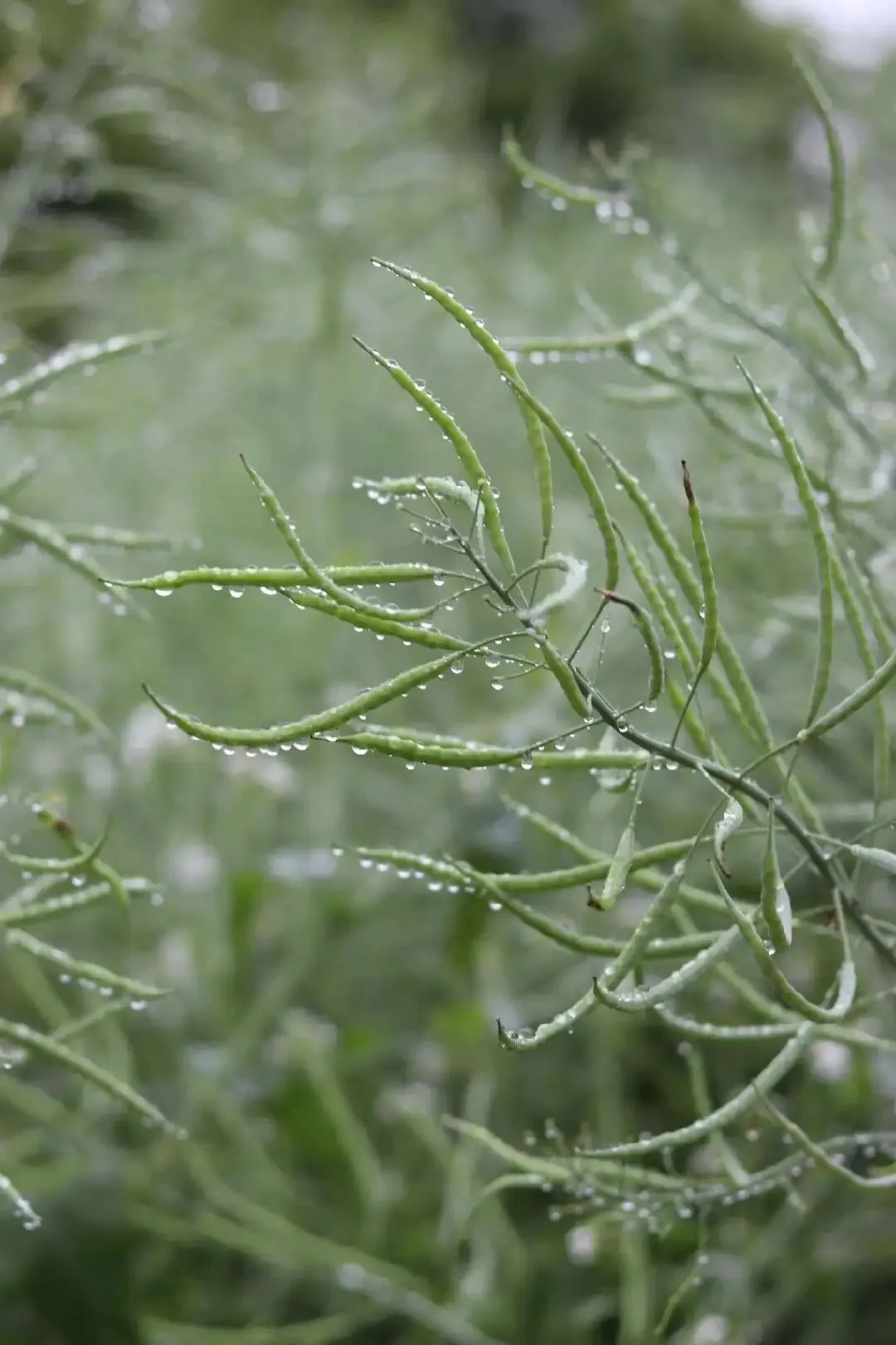 中考倒计时54天:最开心的,是看见孩子悄悄进步 第2张