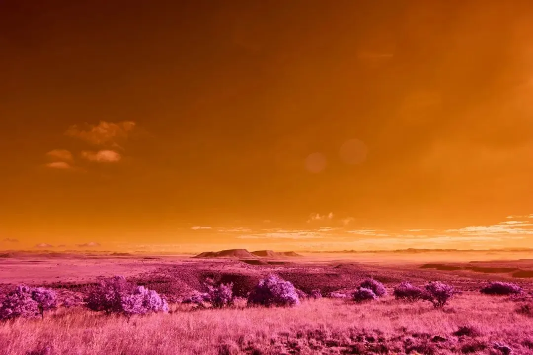 薄弱班试卷评讲,跳出“对答案”怪圈,让每道错题都成为提分阶梯 第10张