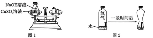 中考科学(浙江)二轮复习冲刺(4)——“说理题”冲刺 第1张