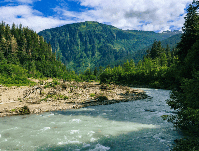 鹏睿话题|你了解中招与中考的区别吗 第1张