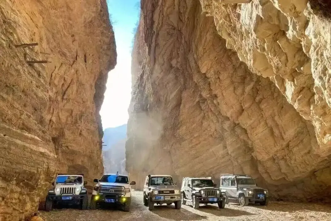 2026安徽中考信息参考(四)数学试卷及答案 第10张