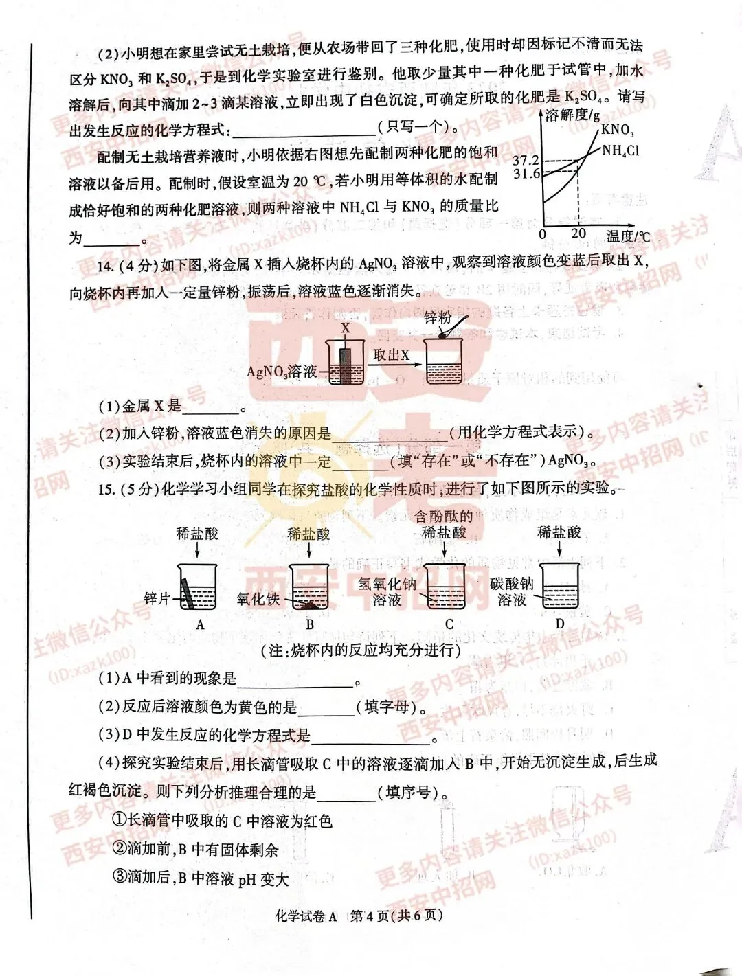 中考速递|2023陕西中考全科真题及答案(高清版)公布! 第57张