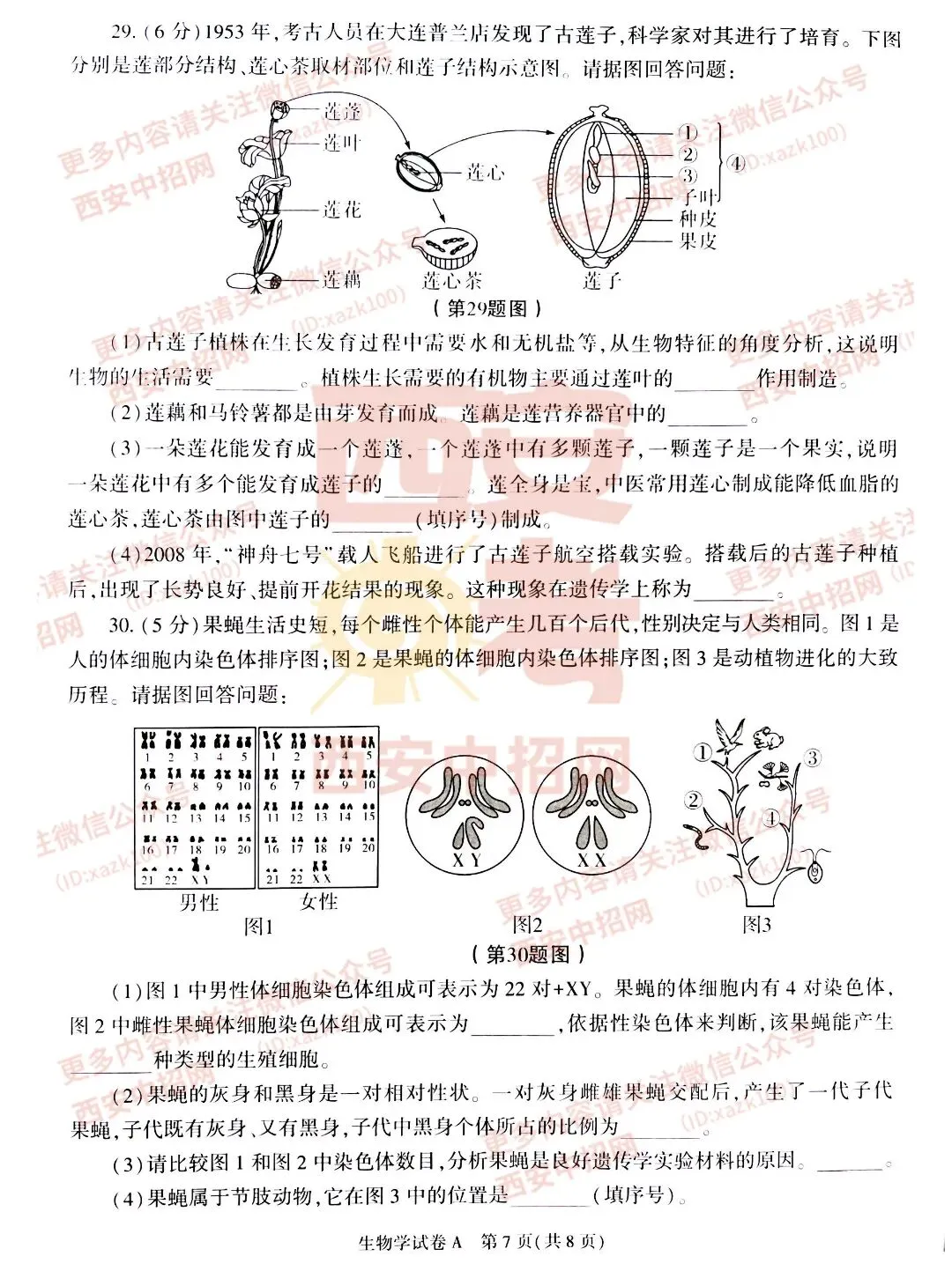 中考速递|2023陕西中考全科真题及答案(高清版)公布! 第85张