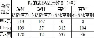 真题讲解:基因工程与遗传学 第1张