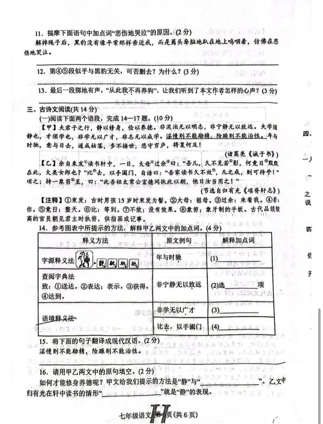 七年级下册语文期中试卷真题及答案 第5张