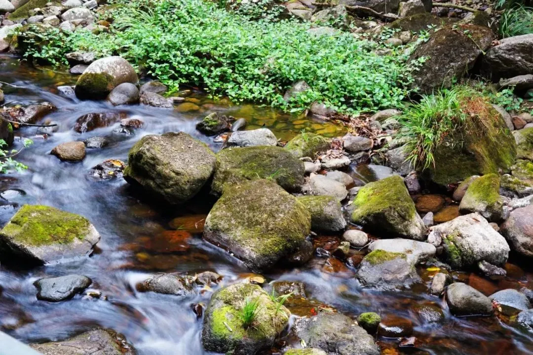 中考优秀作文:《青春岁月,我与_____相约》(范文6篇) 第2张