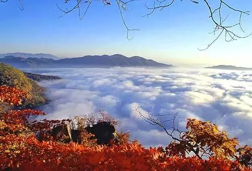 2026年中考一模沈阳市铁西区化学试卷及参考答案 昌图县杨智超初中化学名师种子工作室 智慧化学教学 第25张