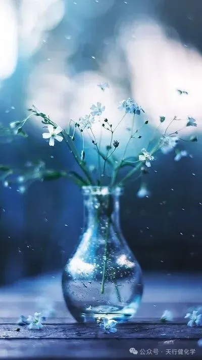 2026年中考模拟考试化学试题18 第9张