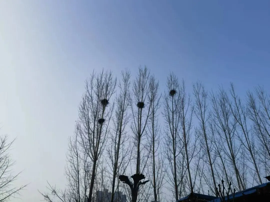 2026年4月23日吉林省考公务员面试真题(一、二) 第2张