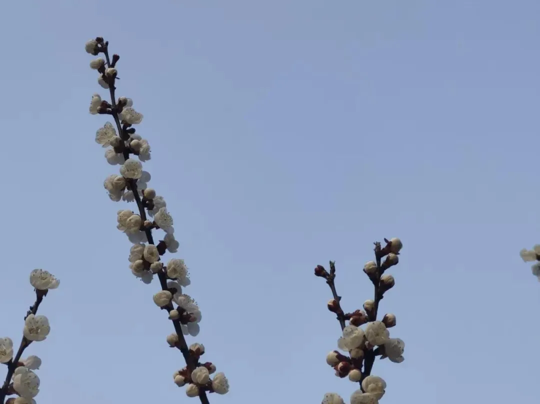 2026年4月23日吉林省考公务员面试真题(一、二) 第3张