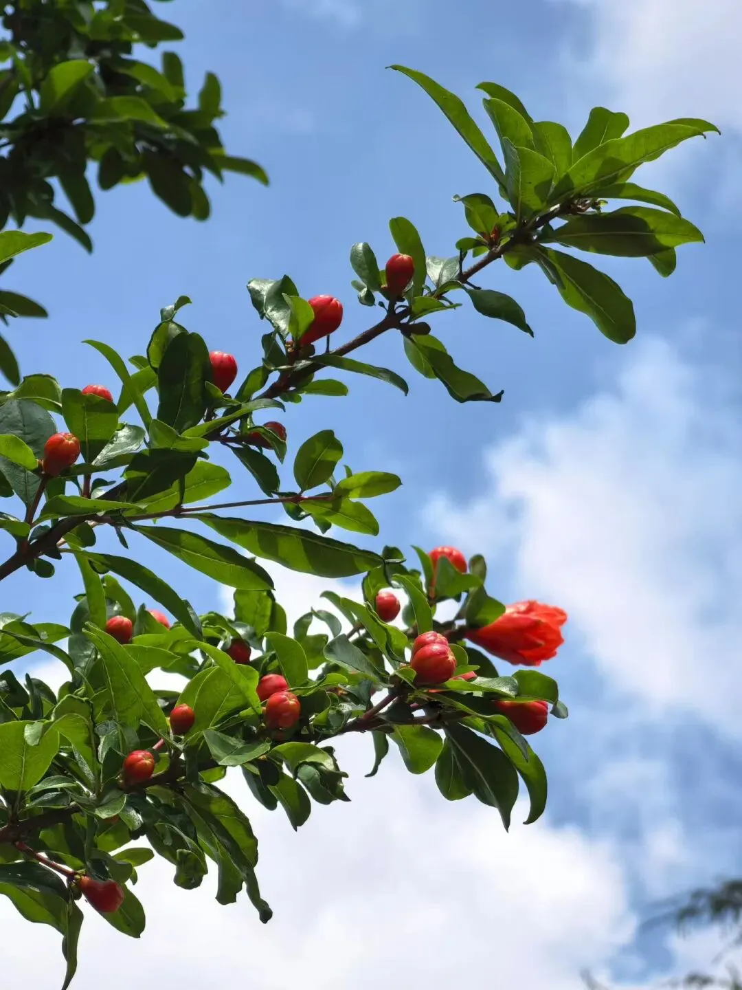 2026届深圳高三二模英语试卷词汇二次开发 第1张