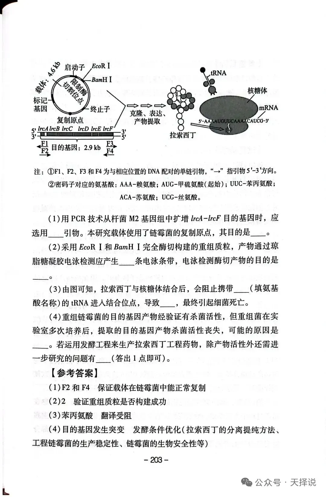【高考真题官方答案系列】2025四川卷 第36张