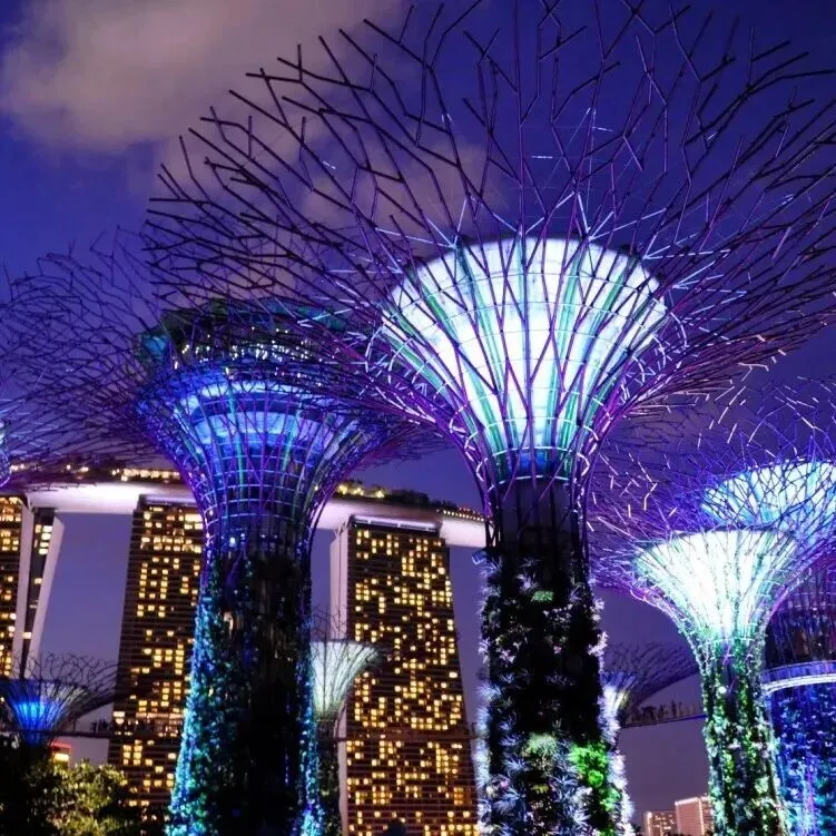 中考后新出路!2 年国内 + 1 年新加坡带薪留学,初中毕业直升海外名校,技能 学历 就业一步到位 第9张