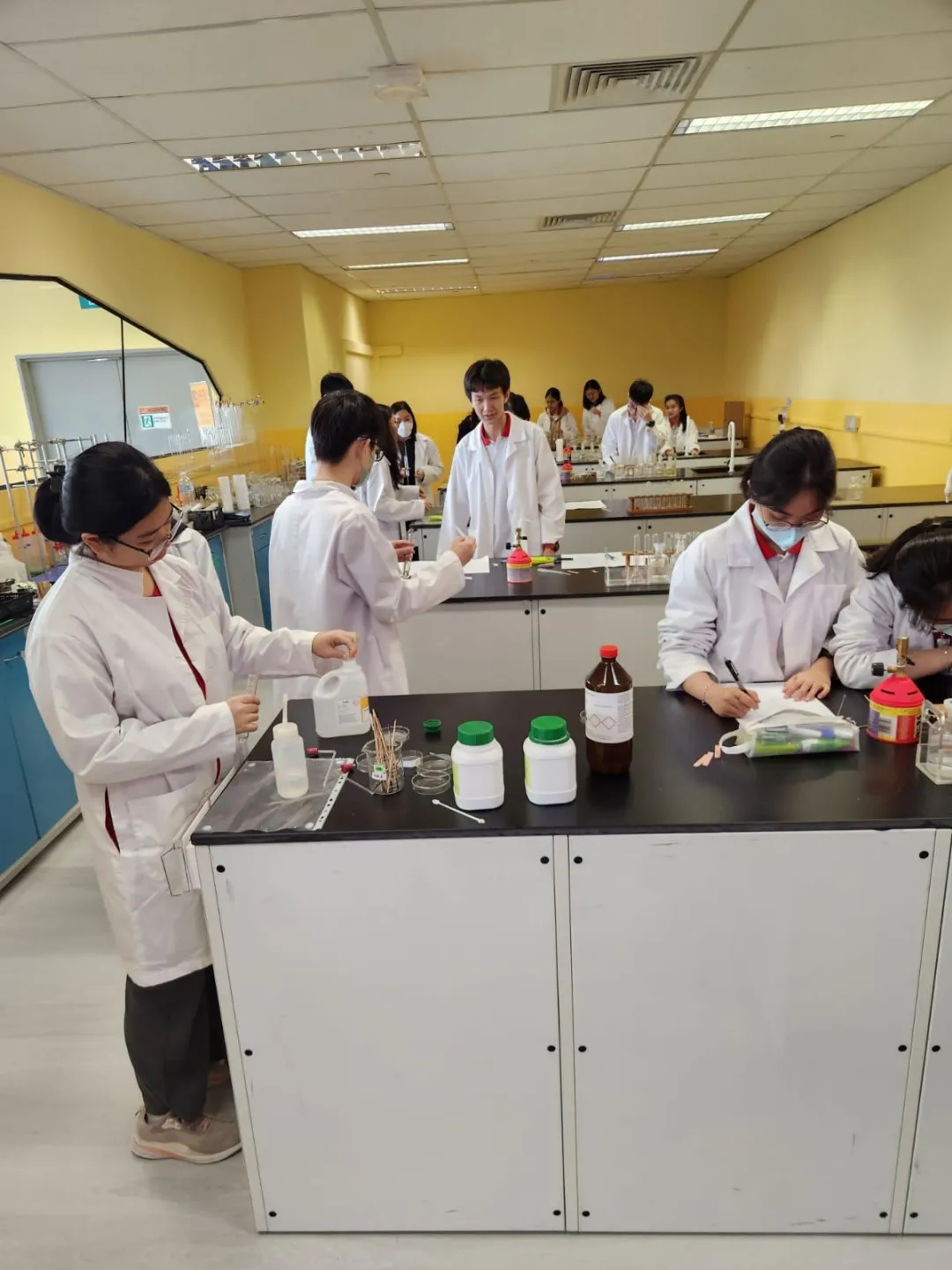 中考后新出路!2 年国内 + 1 年新加坡带薪留学,初中毕业直升海外名校,技能 学历 就业一步到位 第12张