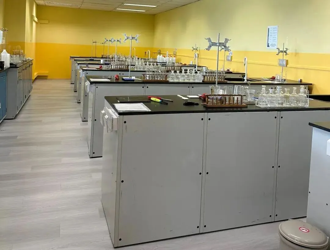 中考后新出路!2 年国内 + 1 年新加坡带薪留学,初中毕业直升海外名校,技能 学历 就业一步到位 第24张